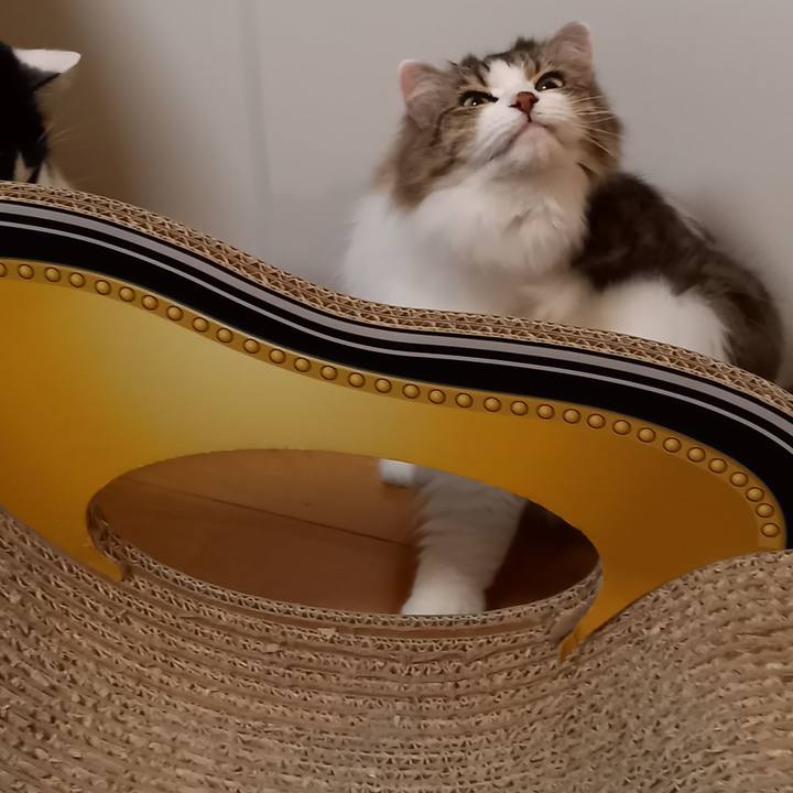 Eba04ab7 de03 4a9f ac42 e3494291c4d3 1639384370750