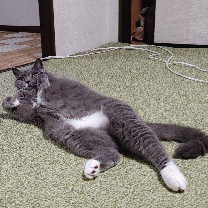 Eba05324 593f 49f6 ae7e 5e98c15139aa 1750335444617