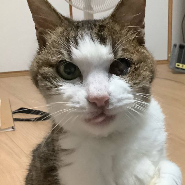 Eba059d6 69b6 4e15 9f38 4c1b688dc155 1599833402020