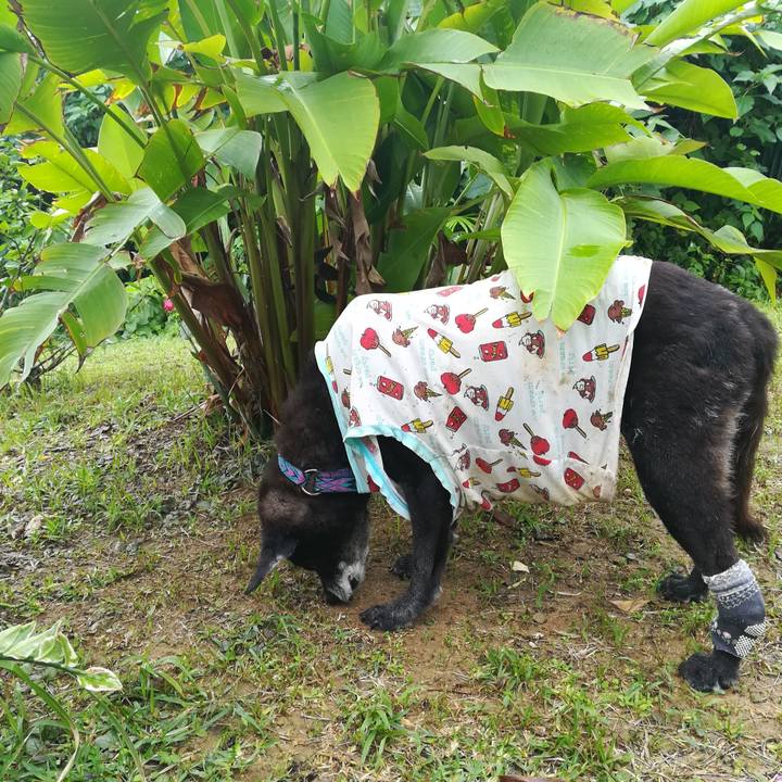 Eba068c7 3baa 420e bd6f 5ada8c1da39f 1511663288709