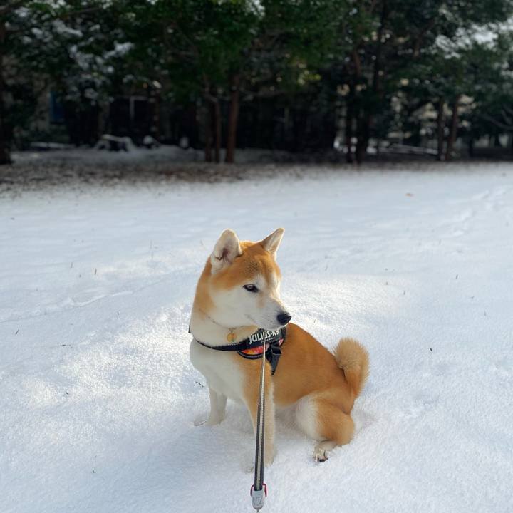 Eba09dff 8459 4120 99ac 75a96ae0d895 1605057390859