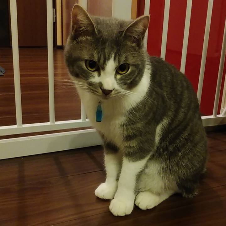 Eba0aeae a0a2 4e3b 82c7 e446a3b24cf4 1583846393791