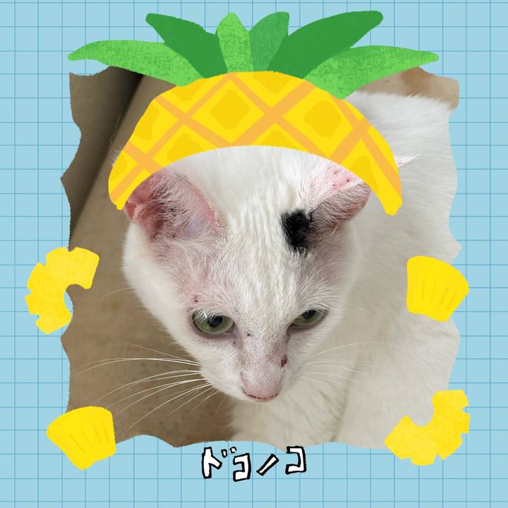 Eba0c811 c19d 4381 8870 a9a8eb54c0e7 1783815058237