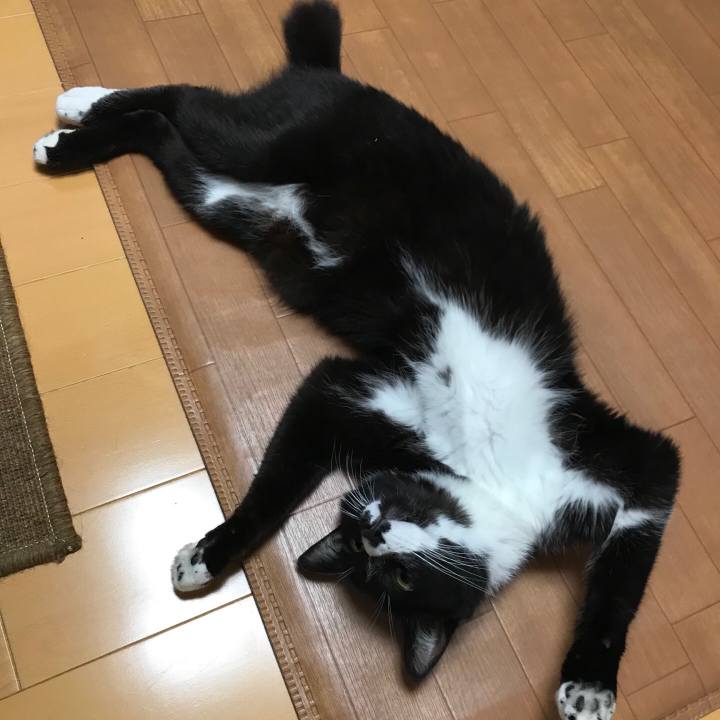 Eba10813 6b37 4c6e b68a bc2e6258a7ce 1562556816770