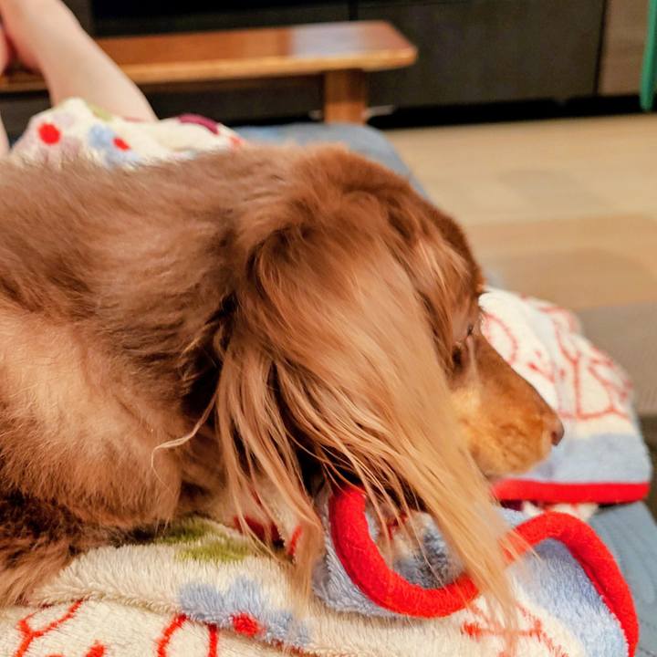 Eba13e00 c8da 44c0 a567 0b33fd3875f2 1758194603900