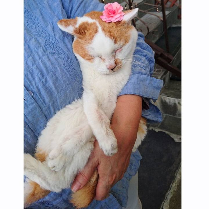 Eba14c8c 6470 4ffa 9ac3 d13e469374ab 1753867088777