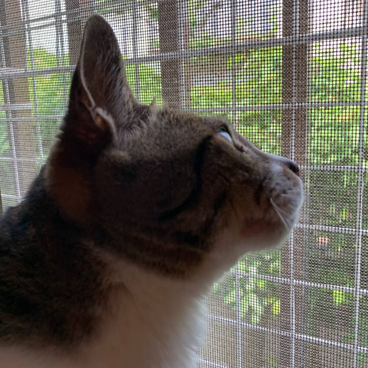 Eba1556b ce20 4106 b68d 9a5e4347a81a 1592356391514