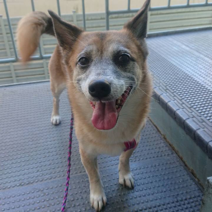 Eba1777e 7d02 46cc 8bb2 41414df6ec6f 1510202786657