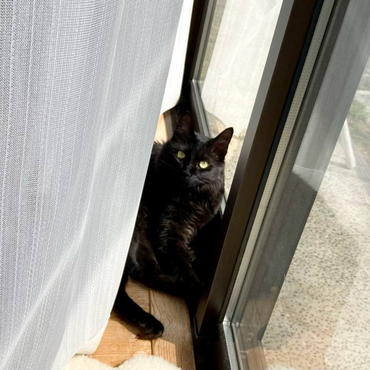 Eba18b2f 2452 4f5c ab84 6d3e9422e8c2 1744100024111