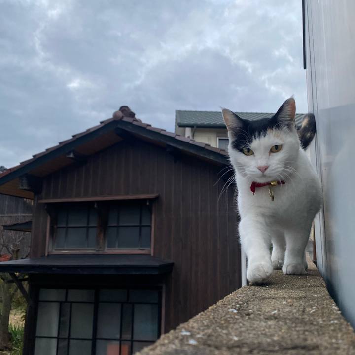 Eba19c58 00d8 4998 8c37 29130f007d45 1638915379447