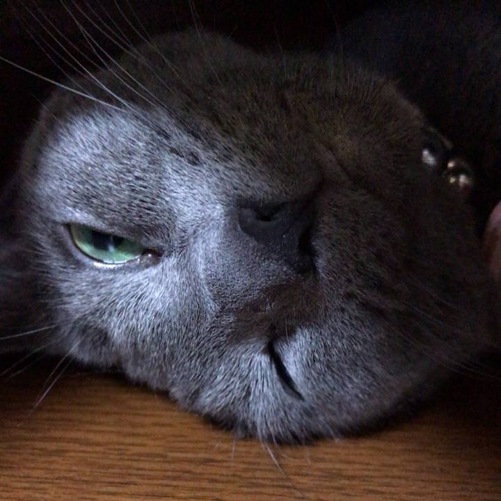 Eba1cb3e 974d 43c0 9d65 0c455af33642 1566013528256