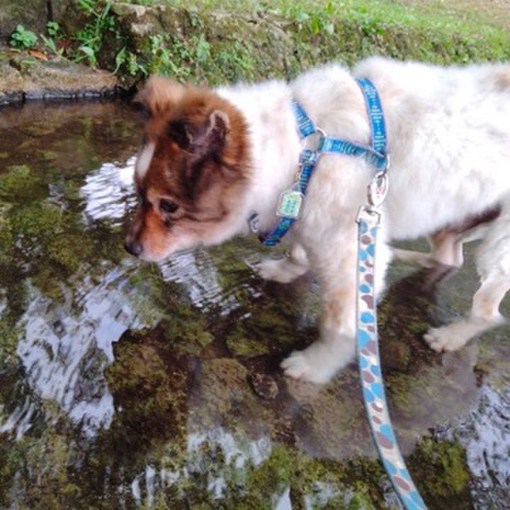 Eba1daf2 92ab 4c3b 9602 692abf0b8b56 1620388707908