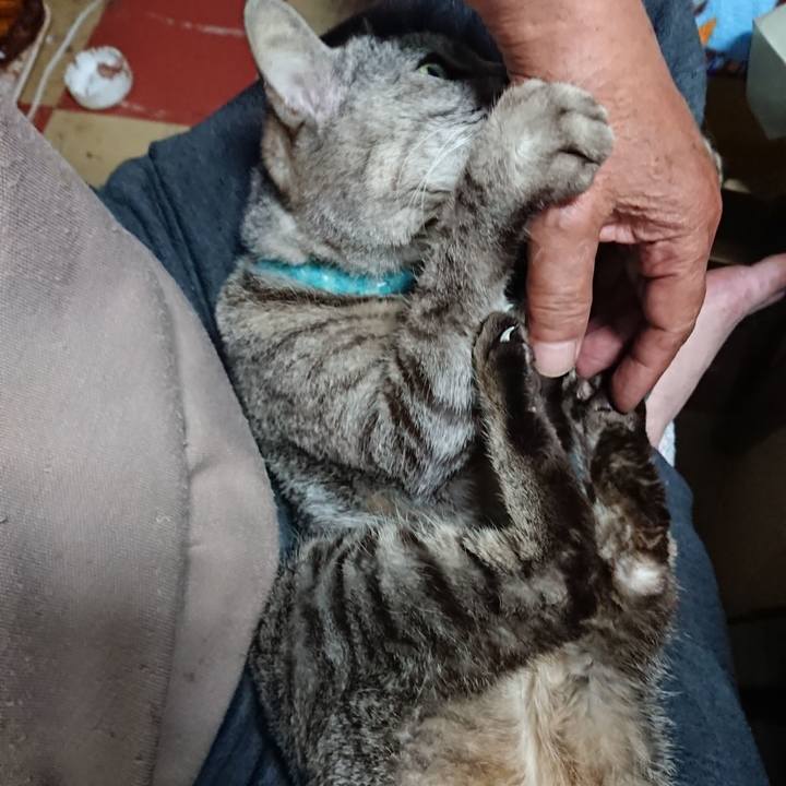 Eba1fd82 efdd 41ab b0ba ceb21cf560ce 1560552145142