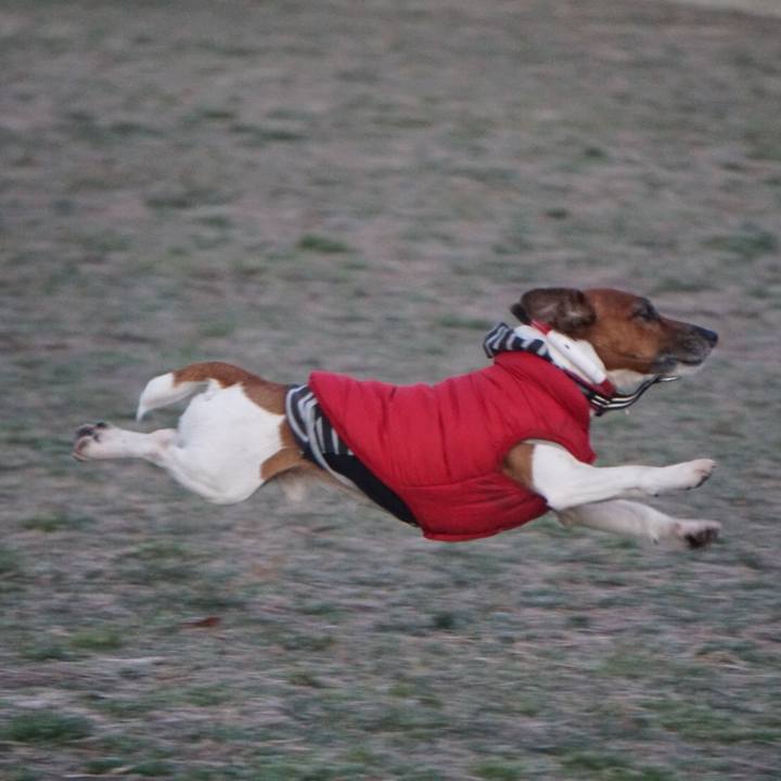 Eba20e58 b5ae 4a2b 81b1 b772a3763236 1580857365953