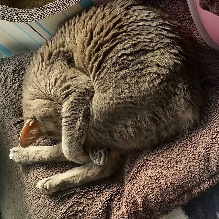 Eba218b1 0a2d 460a 9397 ea1e05bda06e 1671338278049