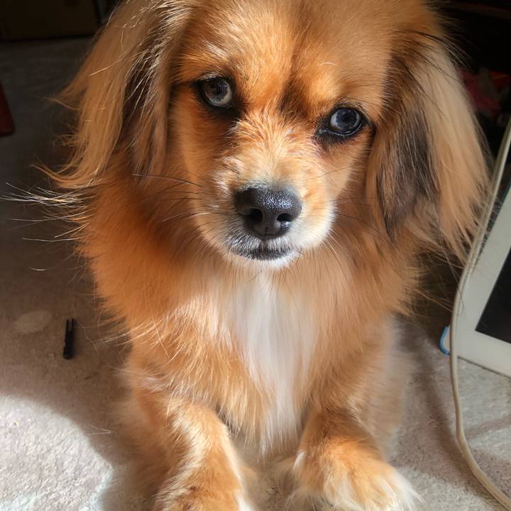 Eba21edc 49a4 49e5 a8d4 42fec04a1c76 1544321035518