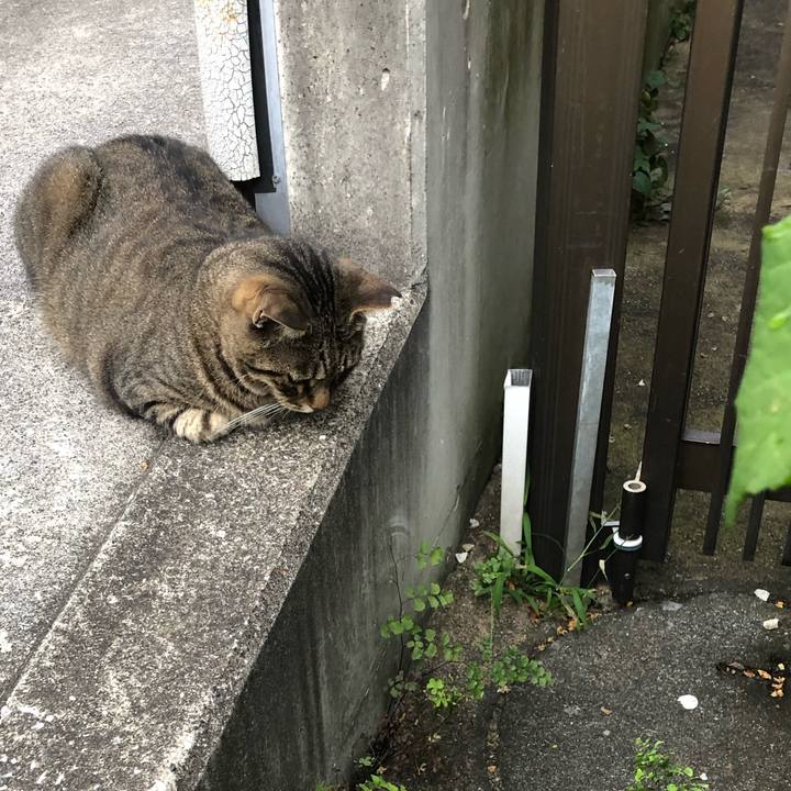 Eba21ff0 6acb 48de 9f82 643fc9da4dc3 1565082867810