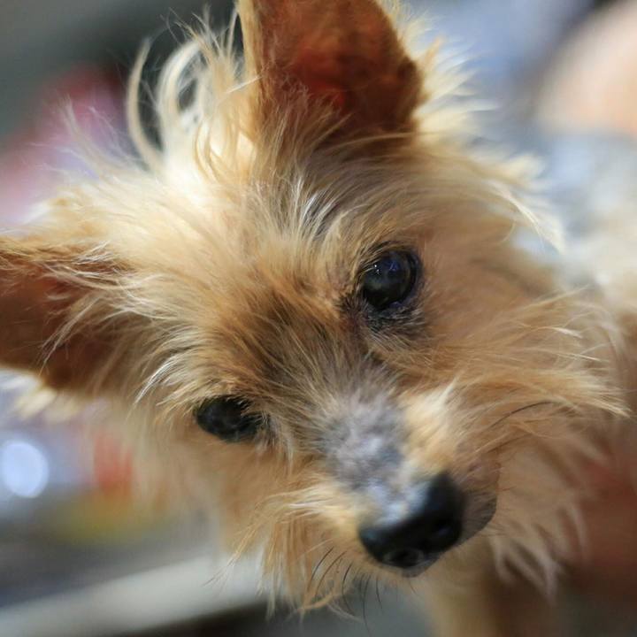 Eba22151 3e0b 48a1 95ab d558ffe7dad1 1578583385435