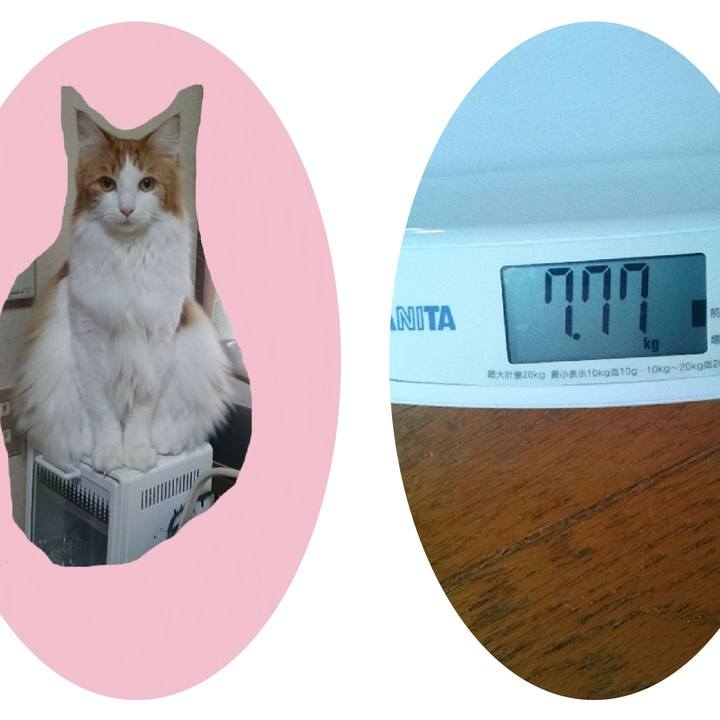 Eba27f4b 935c 4eca ae8c 6b7a3c77fdf5 1512706945191