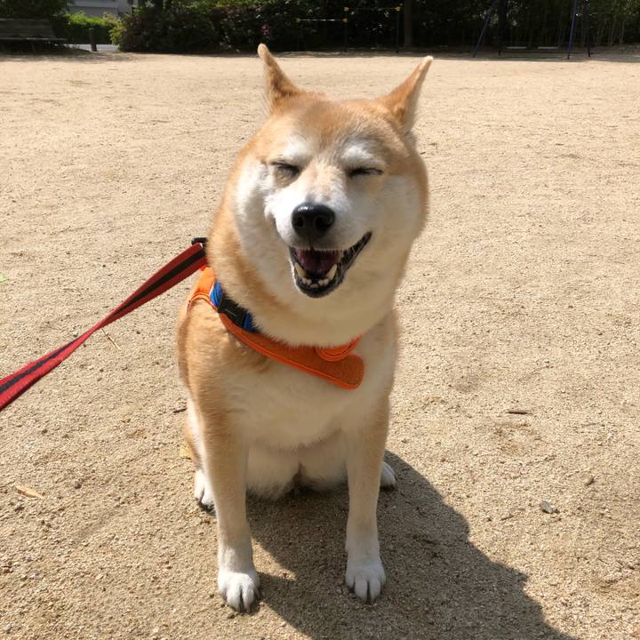 Eba28706 897f 4efd 83bf ff410808c30e 1589175704708