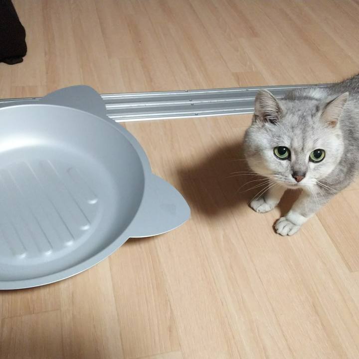 Eba28a20 6e1c 4308 a686 316c919e9579 1526641484980