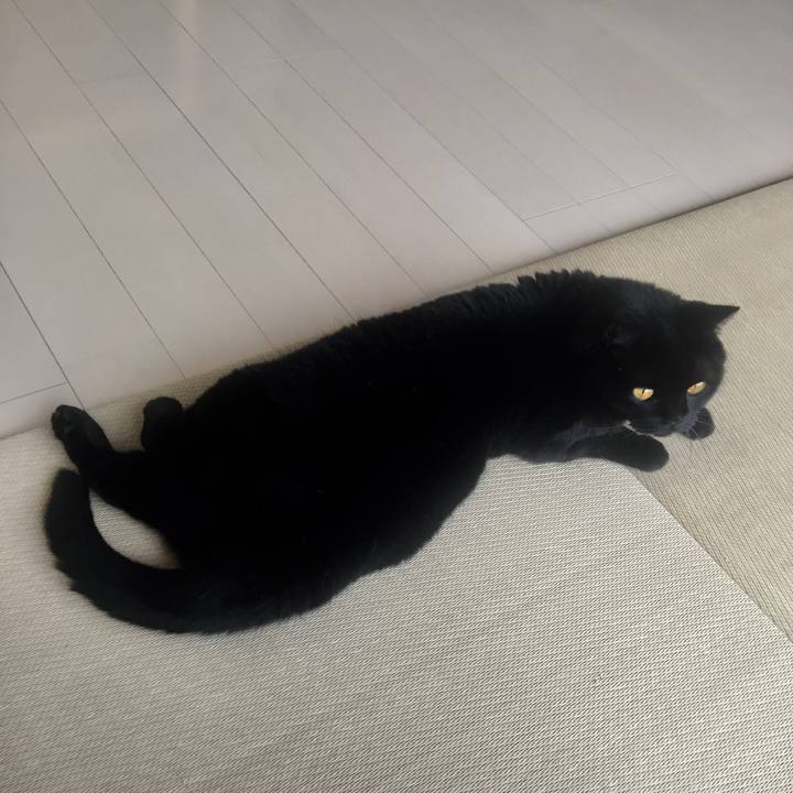 Eba297f2 8b46 4c95 b308 b8e1b1ff3133 1595209513018