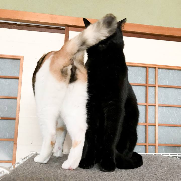 Eba2b794 fb1e 4f78 8484 716242ad3e22 1521816965468