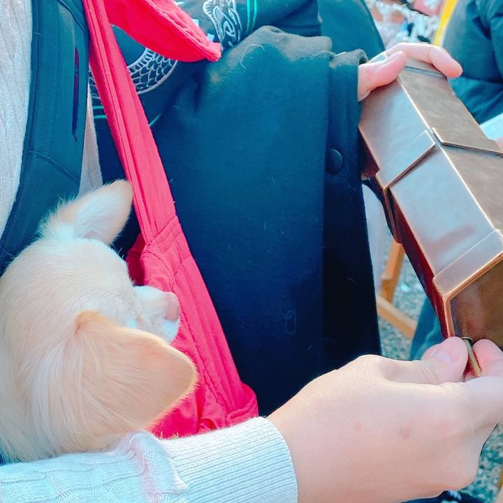 Eba2c02b e0c6 4cbb b45e ef6d43106fe8 1641287962620