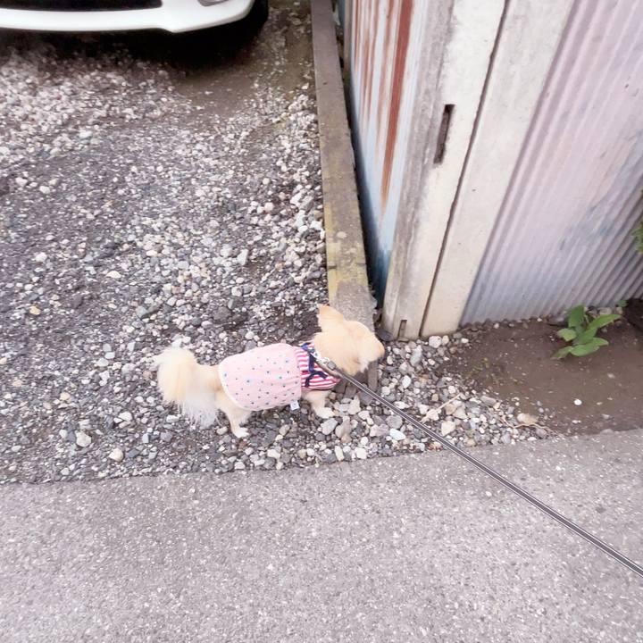 Eba2c9c9 69e0 4834 8a91 22f5434741d5 1748169646192