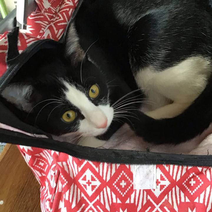 Eba2e471 3748 46c1 ab9e 86f214b292d3 1642143137984