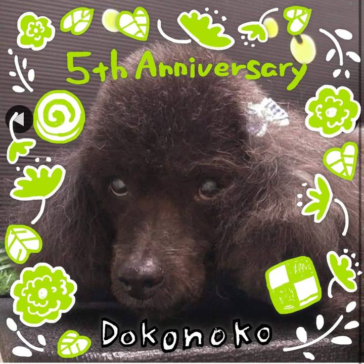 Eba2fc88 c317 4b3e 92a0 54aa041e1e3a 1622864144619