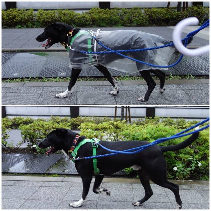 Eba32f4b 8823 4a86 bc80 7cd7b381c59f 1595674344822