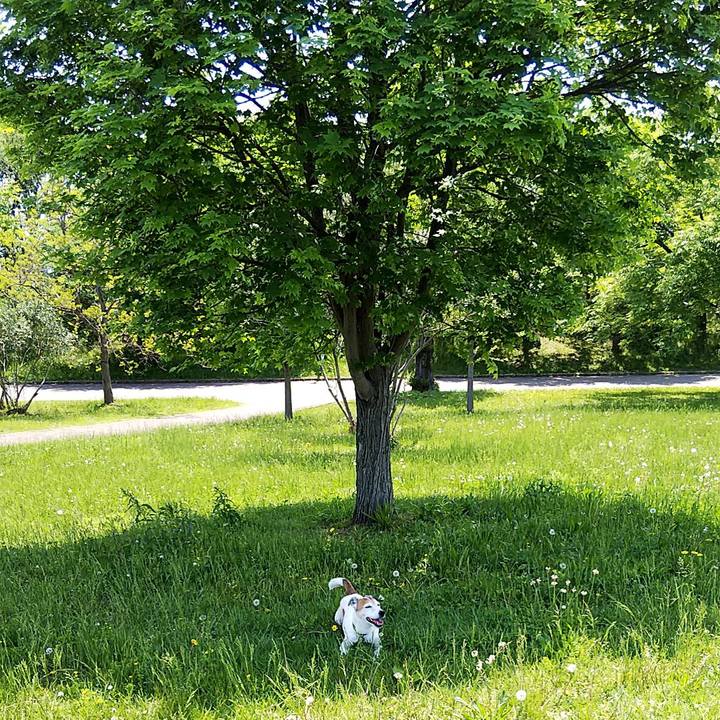 Eba36040 be67 44b5 ad2a afabcf7562c4 1557120517628