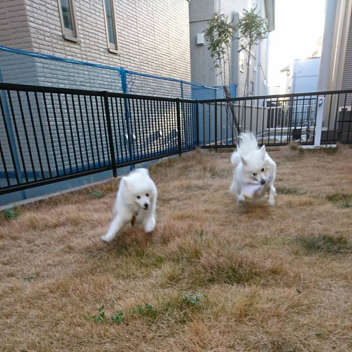 Eba37005 7cd9 4e71 ad8a d22daa3b9db9 1548833633172