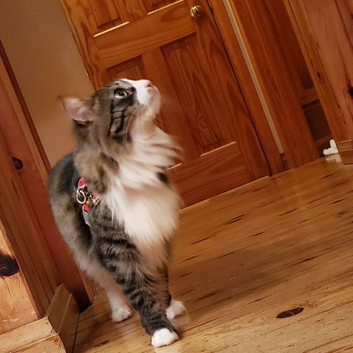 Eba3a168 ff7e 4315 8a7f a8451d8931de 1714696320816