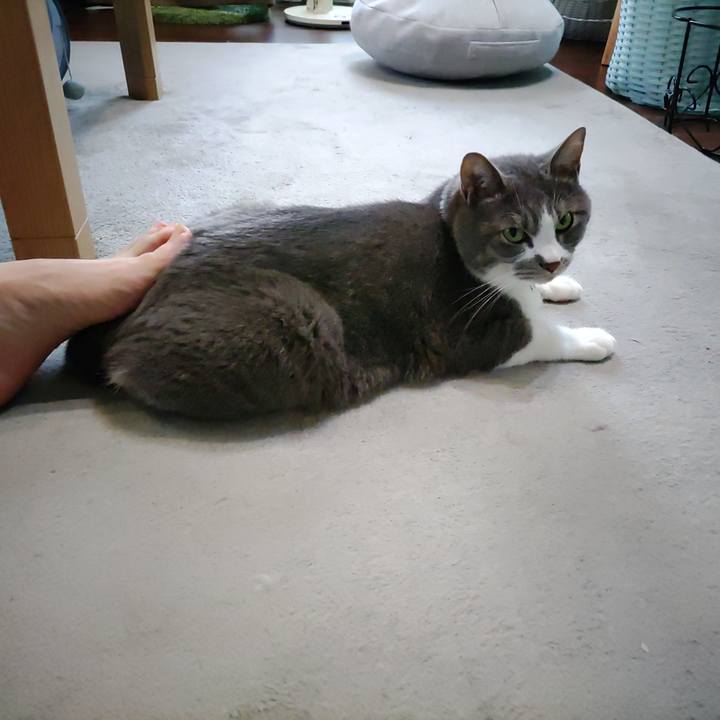 Eba3b643 b0b5 4fa6 8031 f9959705df78 1717117772291