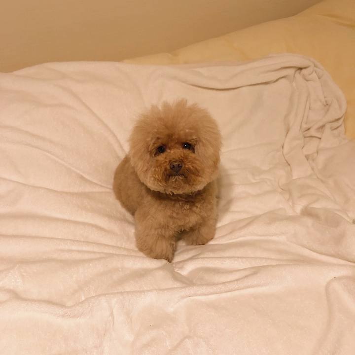 Eba3c1b8 4cc0 40c6 bd97 0f594d6f1066 1543235290276