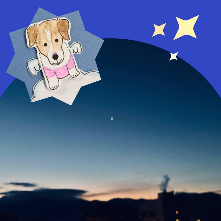 Eba3ca87 33e4 470b bd5c 6d2e471ab658 1644372294899