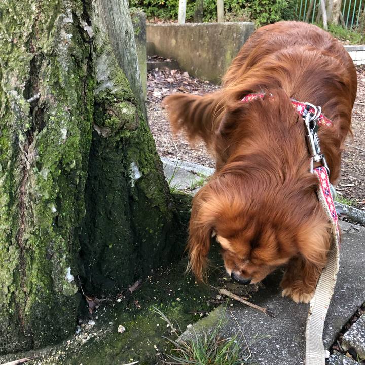 Eba3d13a a4f4 4307 939f d6b8695fa96a 1583706421166