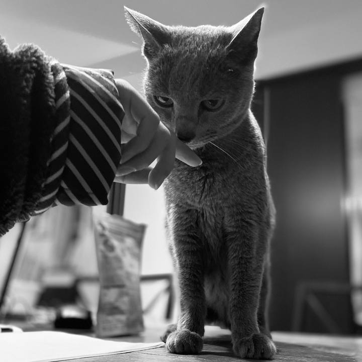 Eba3d1f7 2fdd 4834 8854 ae42de728ab5 1582636831538