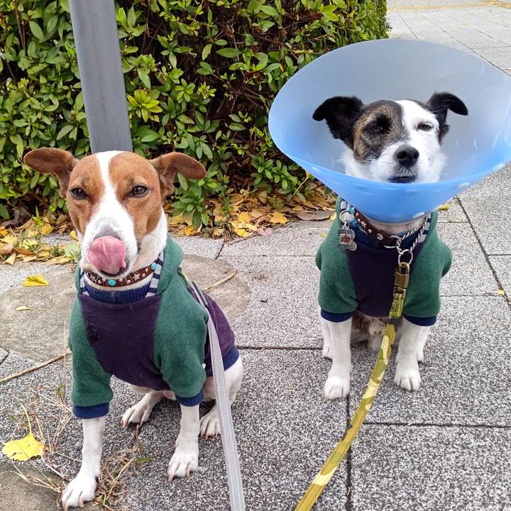 Eba3fbcc 6470 46ad 9cea fb1210fca712 1669850202191