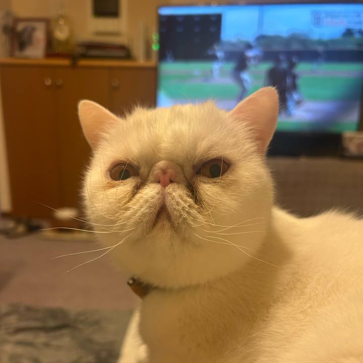 Eba4081b 291b 4437 9924 8554670db46c 1740488389508