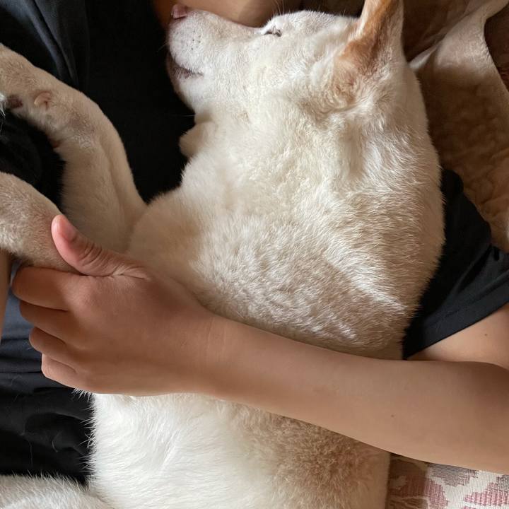 Eba42c32 608d 4057 99ea 79cc41a42877 1636352321105