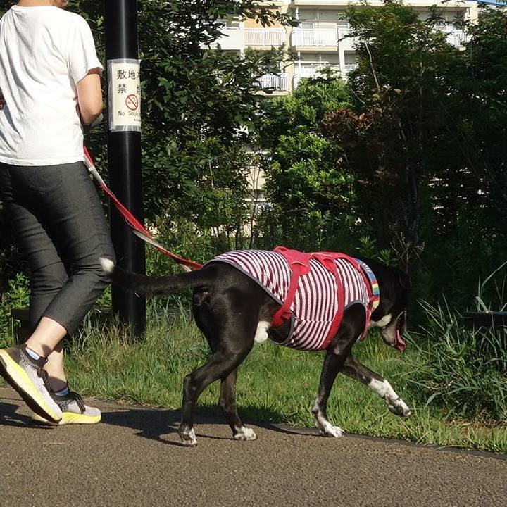 Eba43329 2025 4315 8c47 7107f54e6adf 1690334302072