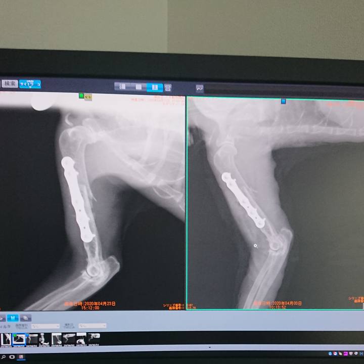 Eba45310 9a5b 4422 a643 57e326eac2fe 1587626283657