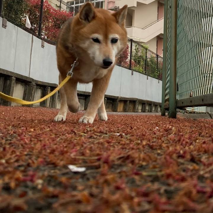 Eba45c4c 6239 4824 a1bc 6d2ca7a293c1 1650334274950