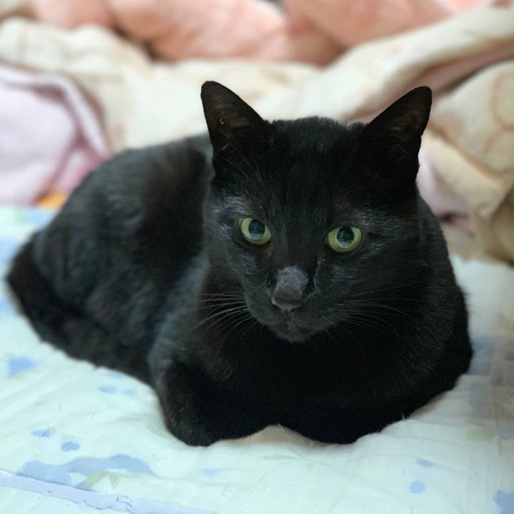 Eba4aac5 ce91 4e67 94e8 391ceb8a92e3 1543973001641