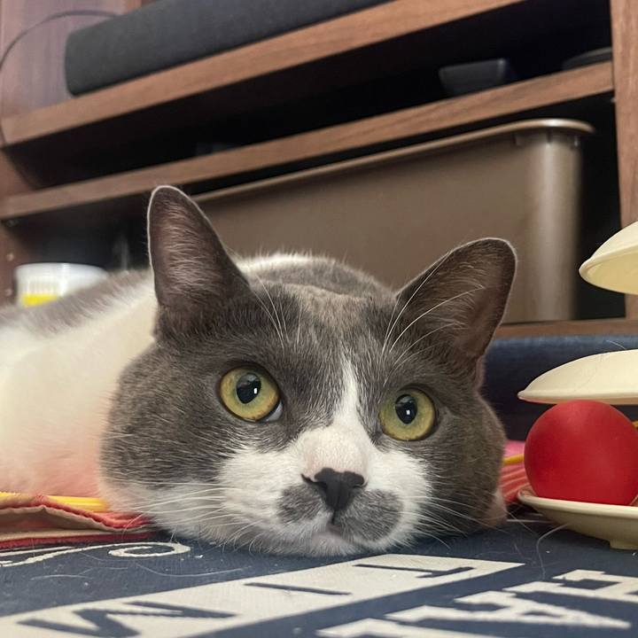 Eba4baa6 3417 41c2 abe8 d865c1a146a7 1722840950719