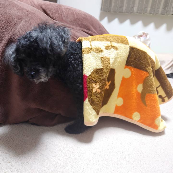 Eba4e02b 6f24 40cd bc88 e1512005d300 1761260388604