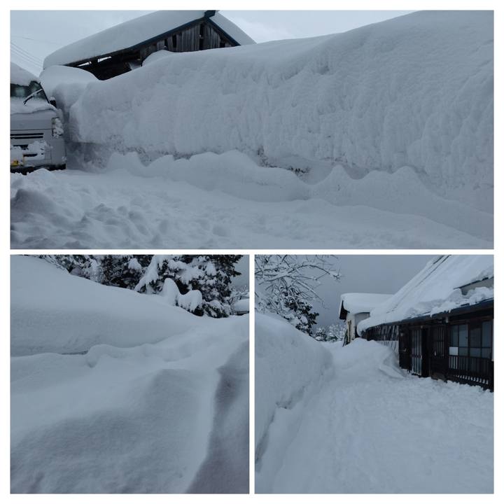 Eba4fa93 96aa 477a b32c 6f61fbe2e508 1738893852741